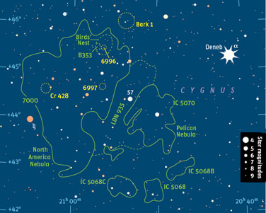 North American Nebula star chart